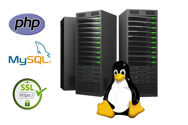 web-hosting-services